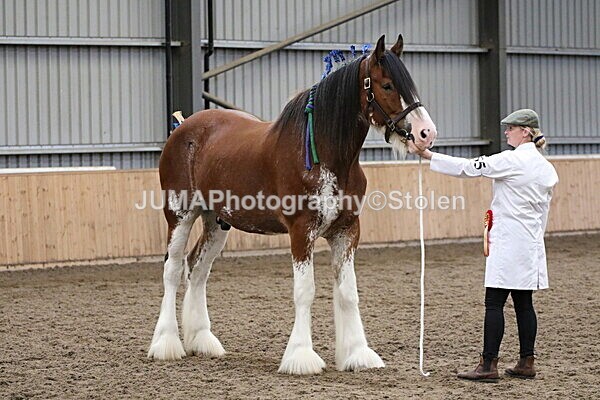 SIAL2175 - sunday 14th Set In Hand