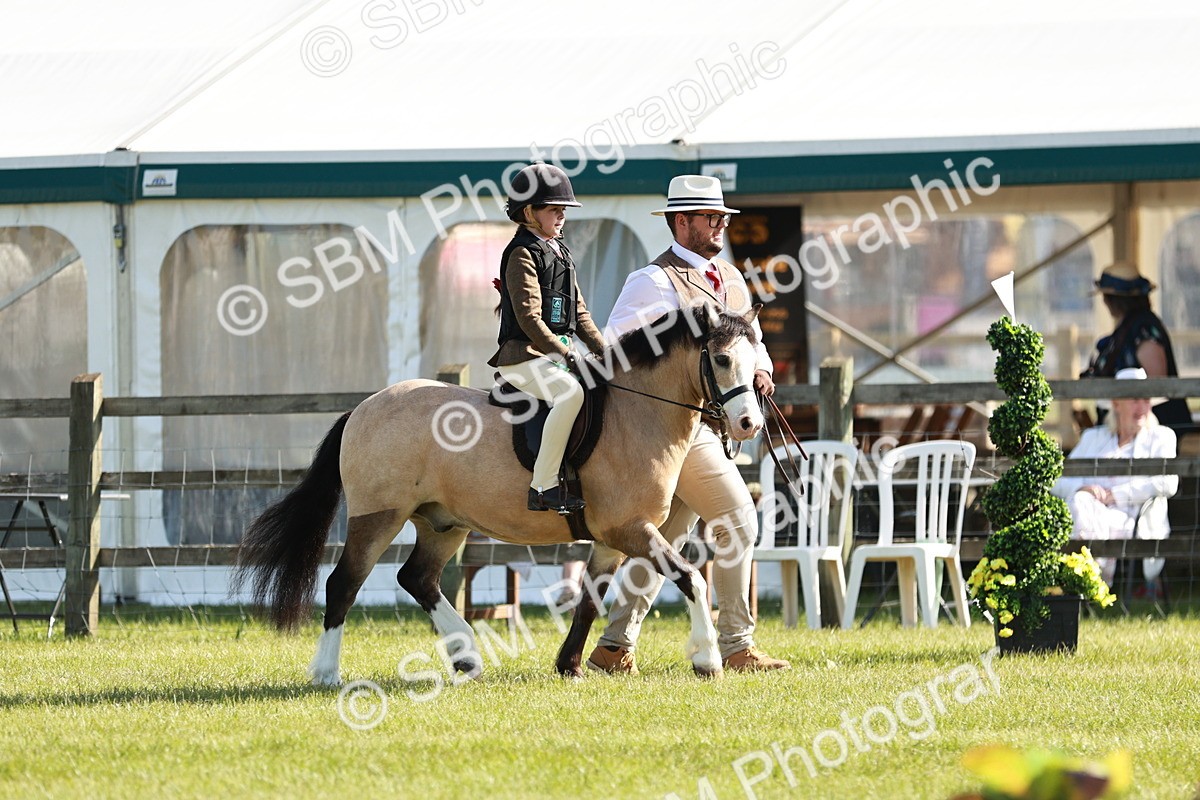 SBM_11363 - Class 106-107 - BSPS LIHS Working Sports Pony