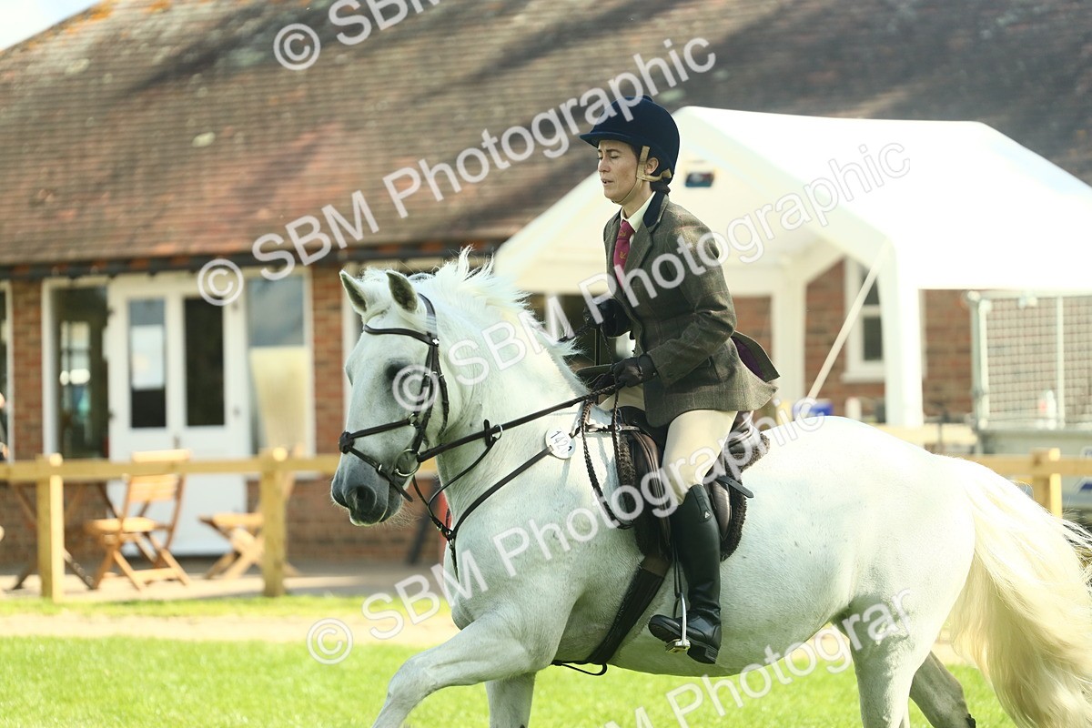 SBM_41996 - S29 - Novice & Newcomers Working Hunter Pony