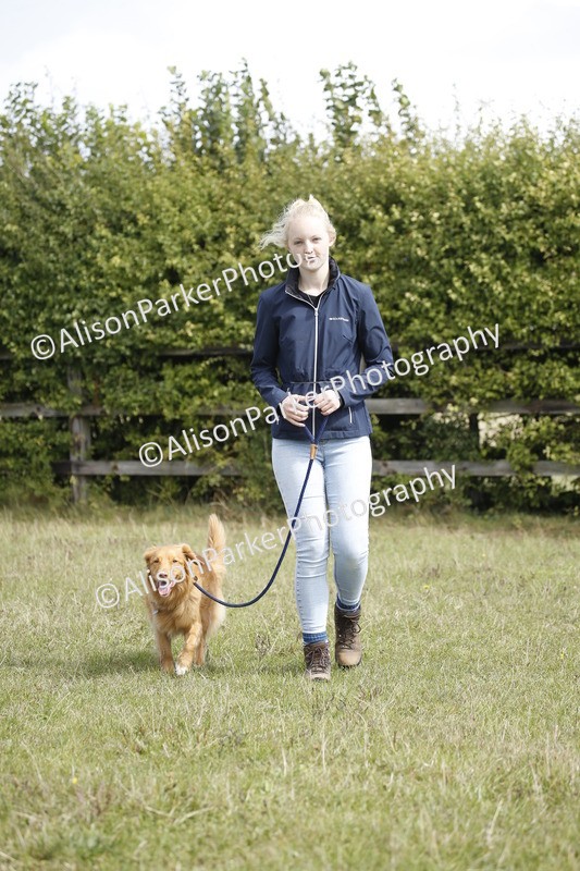 20250831-3765 - Dog Show