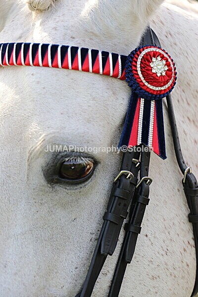 SIAL7001 - Ring 1 & 3