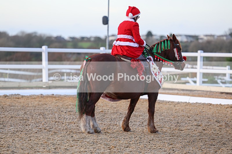 3E7A5025 - Class 5: Novice