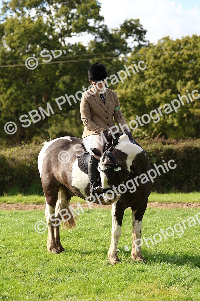 SBM_47828 - S28 - Veteran Ridden