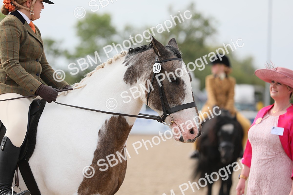 SBM_16977 - Class 314 Family Horse/Pony