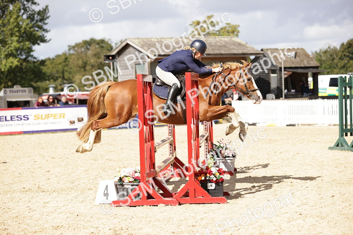 SBM_18559 - Supreme Championship
