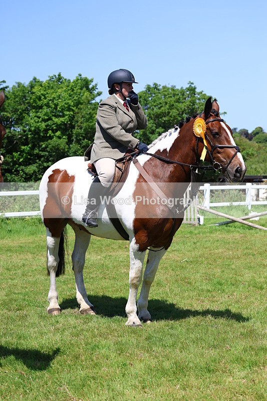3E7A7402 - Class 30: Novice Working Hunter