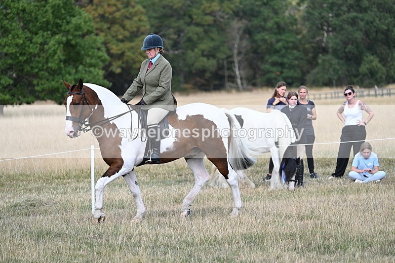 WJ7_7155 - Class 14 Ridden Coloured