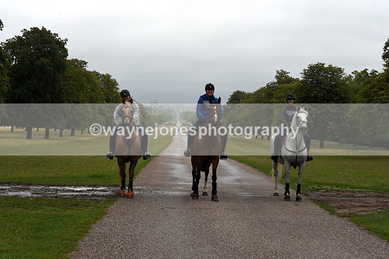 TT3_8315 - Time at Crossing 10:16 to 11:38