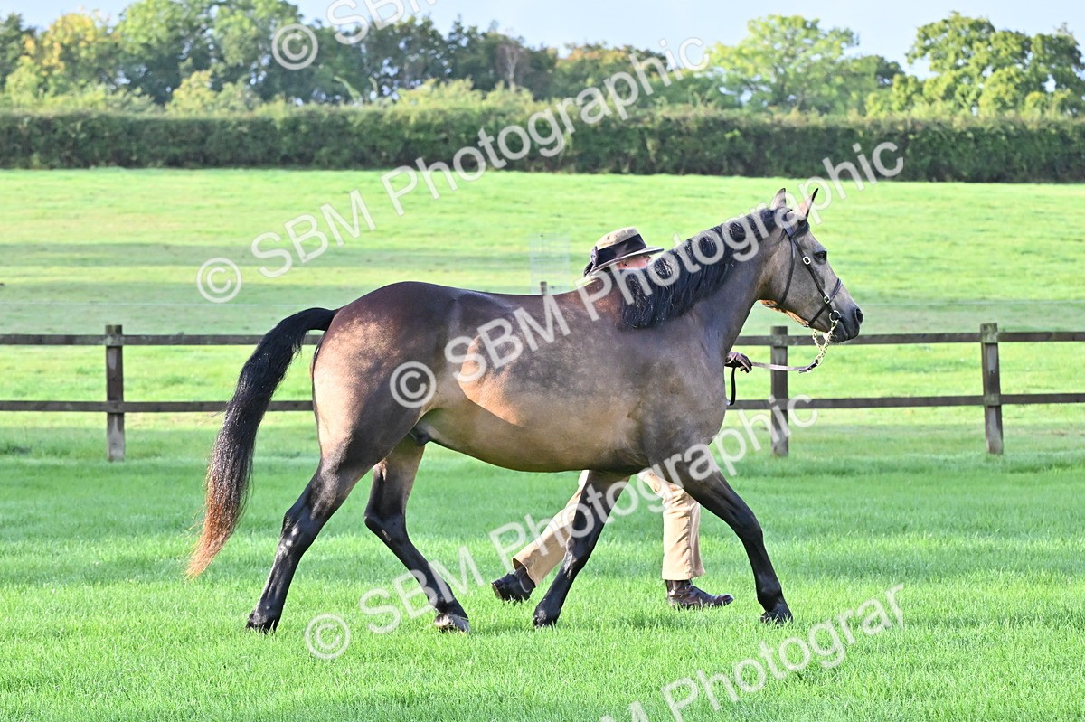 SBM_32570 - S15 - Top Turnout In Hand