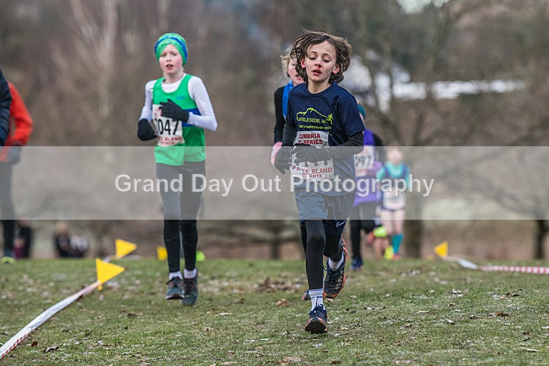 Cumbria XC-111 - Cumbria Cross Country Championships (Junior & Senior Races) Saturday 3rd January 2026