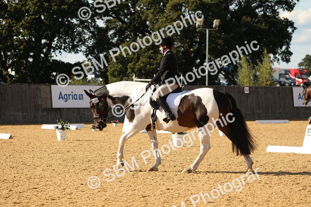 SBM_26851 - D17 - Grand Tour Championship - Novice 27
