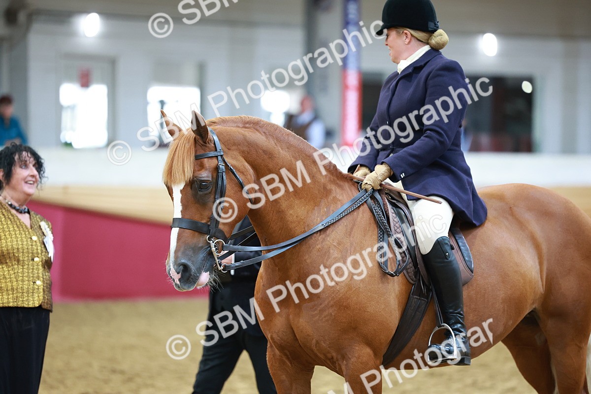 SBM_18617 - Class 952 - M&M Ridden Supreme Final