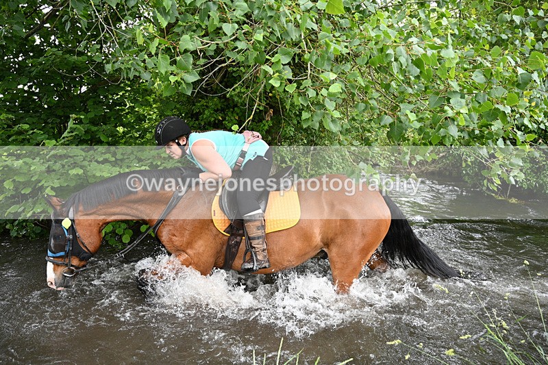 WJ7_2489 - Camera 2 Water Crossing