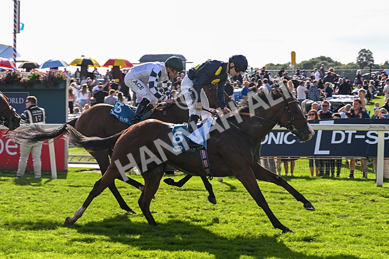 060926-Race 5-Extremely Zain-8418 - Race 5 3.50pm Starman At Tally Ho Stud Garrowby Stakes