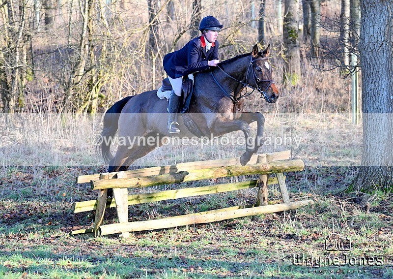 WJ7_2562 - Edited examples