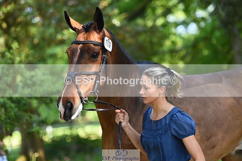 230524-161400-00779 - 256-ALS_RUSSIAN_ROLEX-Jemima_Howden-WEDTrotUp+DR