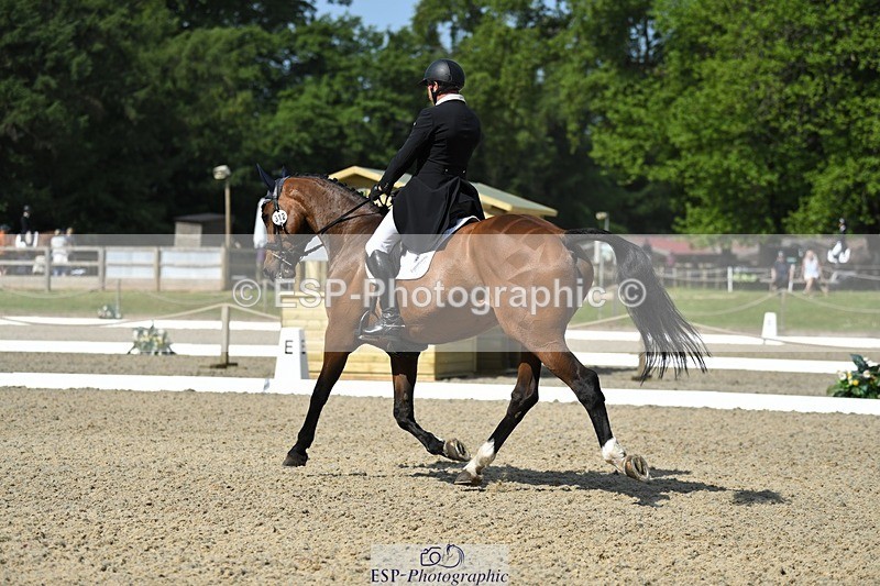 230525-102507-01710 - 312-J'ADORE_SALSA-Michael_Owen-WEDTrotUp+DR