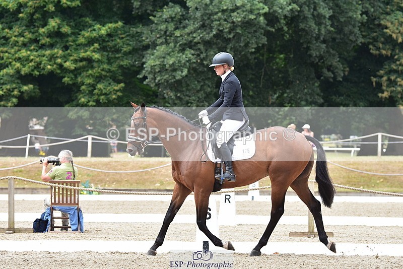 250719A-124050-05659 - 175-Louise.Hendy-Gulf.Of.Poets