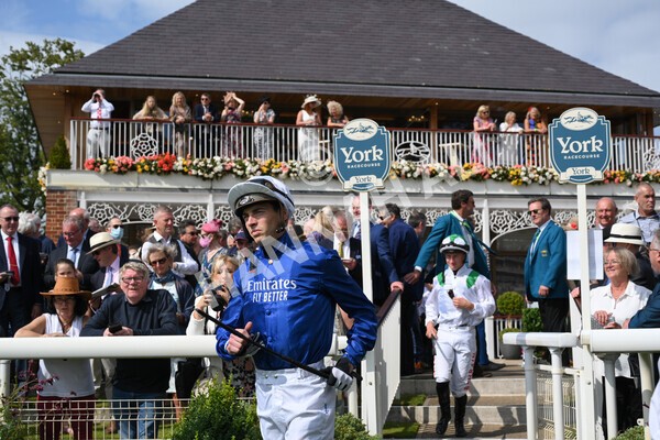 yr18082021r3-11 - Race 3 3.00pm Sky Bet Great Voltigeur Stakes