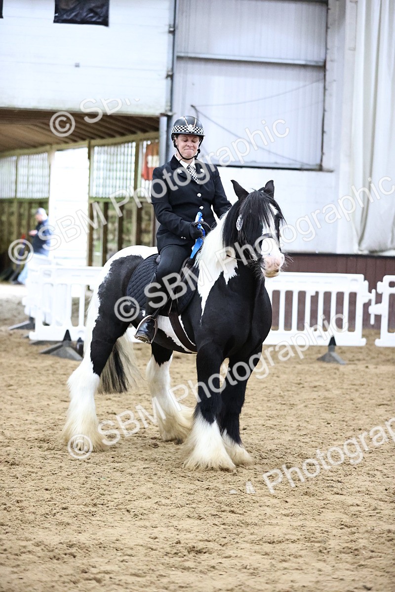 SBM_6401 - Class 45-42 - Ridden Irish Breeds-Ridden Cob
