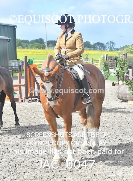 JAC_0047 - CLASS 3 Intermediate Working Hunter (0.70m - 0.85m)