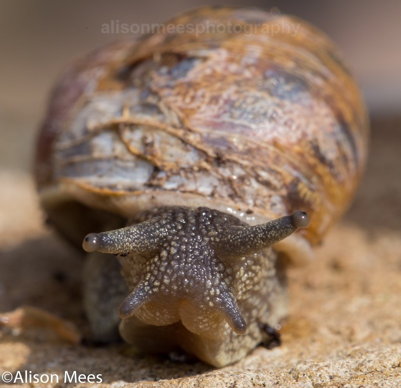  - Macro World