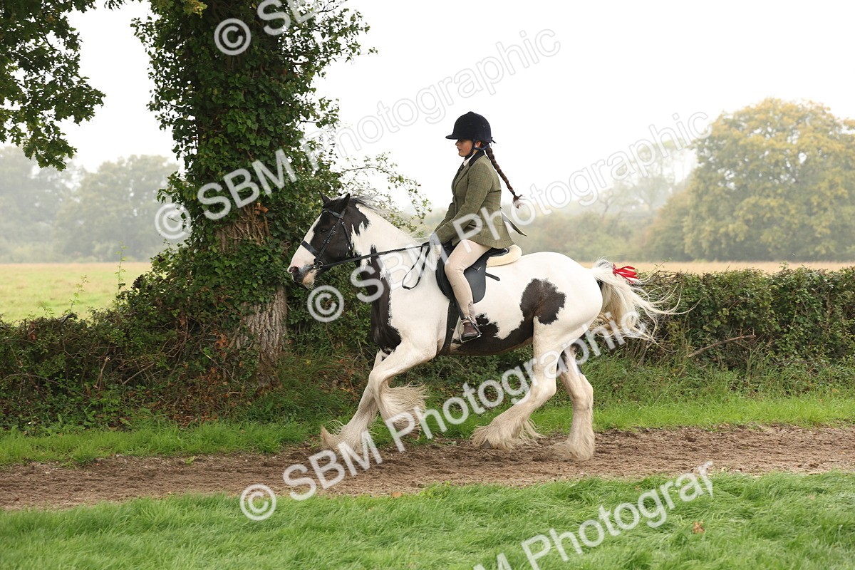 SBM_72731 - S70 - Traditional Cob Ridden