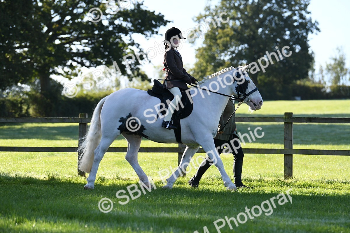 SBM_35315 - S17 - Condition & Turnout - Lead Rein
