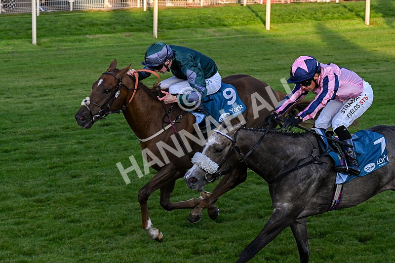 240726-Race 6-Explosive Finnish-0686 - Race 6 20.25pm Sky Bet Go-Racing-In-Yorkshire Summer Festival Handicap