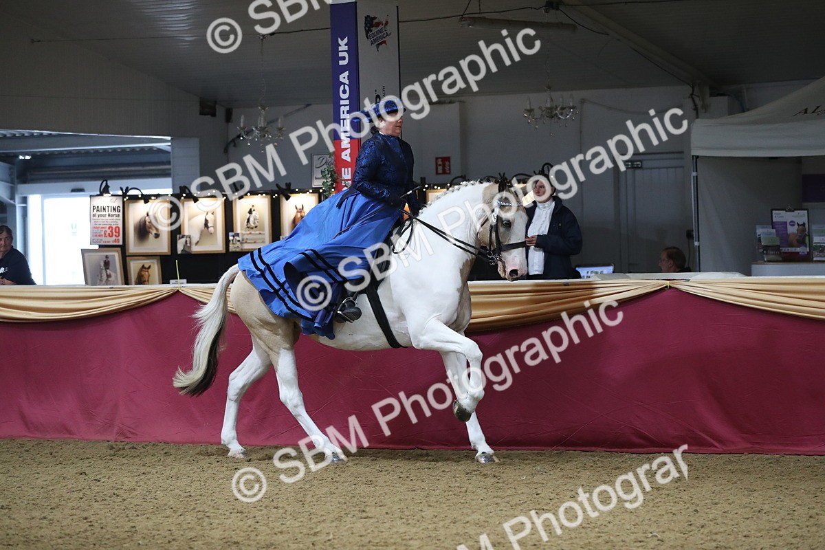 SBM_12012 - Class 106 Ridden Costume- Astride Adult (15-19)