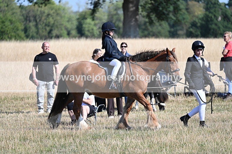 WJ7_3053 - Class 8 Ridden Tack & Turnout