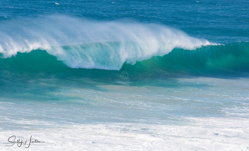 Waves small 12