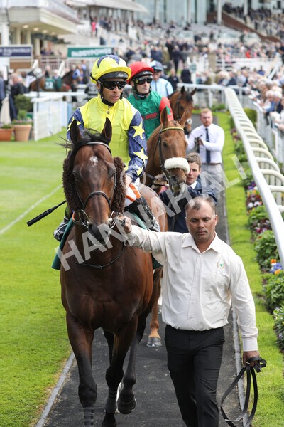yr12052022r1-12 - Race 1 1.50pm Paddy Power 'Making Flat Less Flat' Stakes