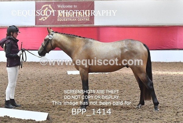 BPP_1414 - MORNING 9AM - 12PM