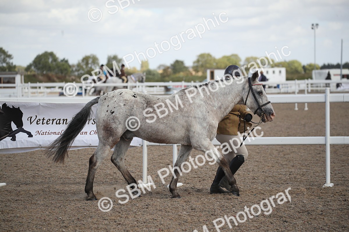 SBM_23507 - Class 604 - 2026 - Area IH Diamond