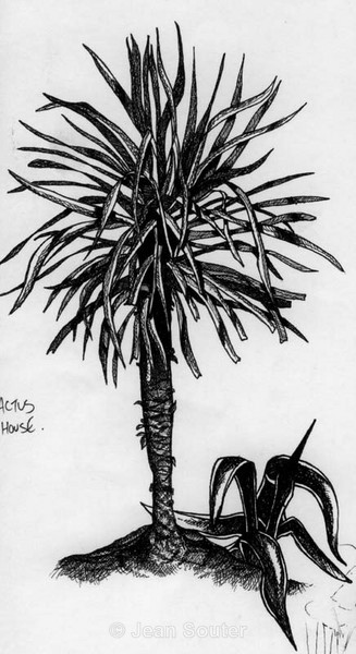S19 - Sketches