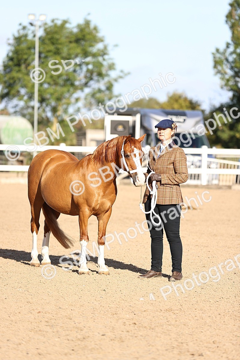SBM_08457 - Class 402 - IH Veteran Pony