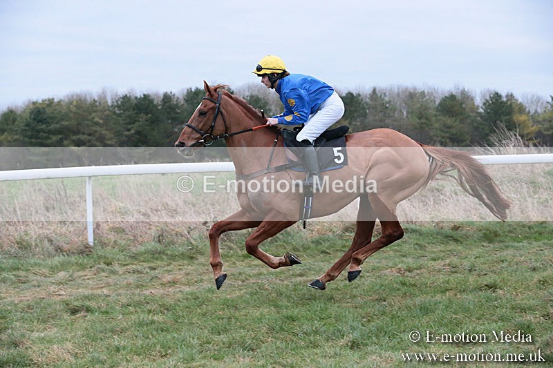 PtP 060119 552 - Larkhill Racing Club - Point-to-Point- 06/01/2019