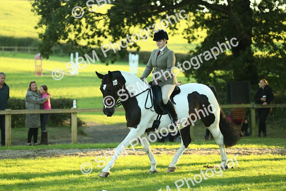SBM_56491 - S14 - Riding Club Horse