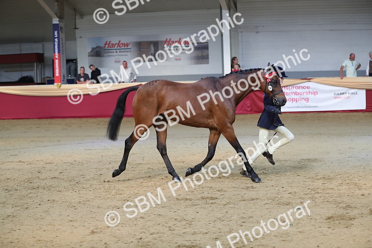 SBM_01344 - Class 3a Area IH Pre Vet