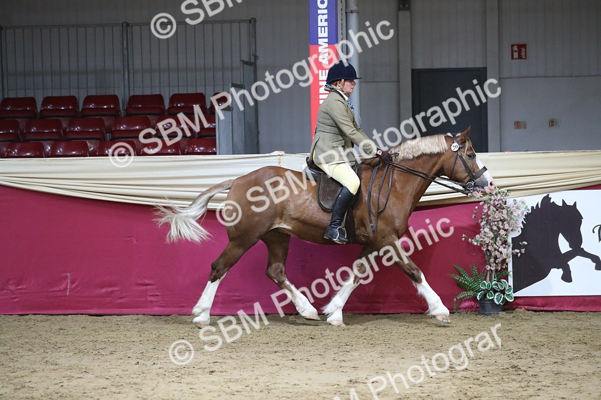 SBM_08501 - Class 11R Regional Ridden Veteran