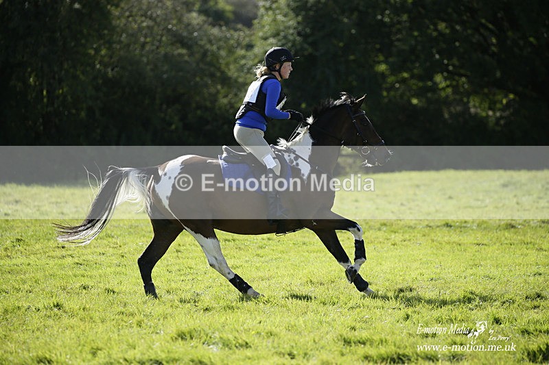  WWHT 031021 1436 - Open Novice (0.80m) 03/10/21