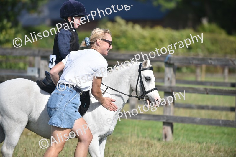 20260906-0967 - Class 7 - Absolute Novice Jumping 35cm