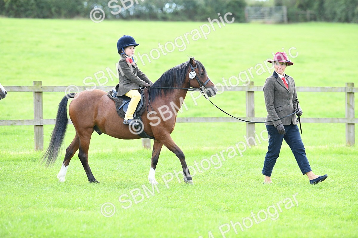 SBM_42425 - S20 - Lead Rein Mountain & Moorland Pony