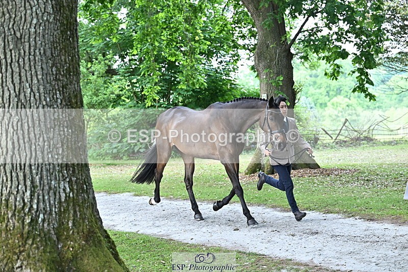 250521A-170203-01480 - C-280-Ryo.Murata-BROOKPARK.VIKENTI