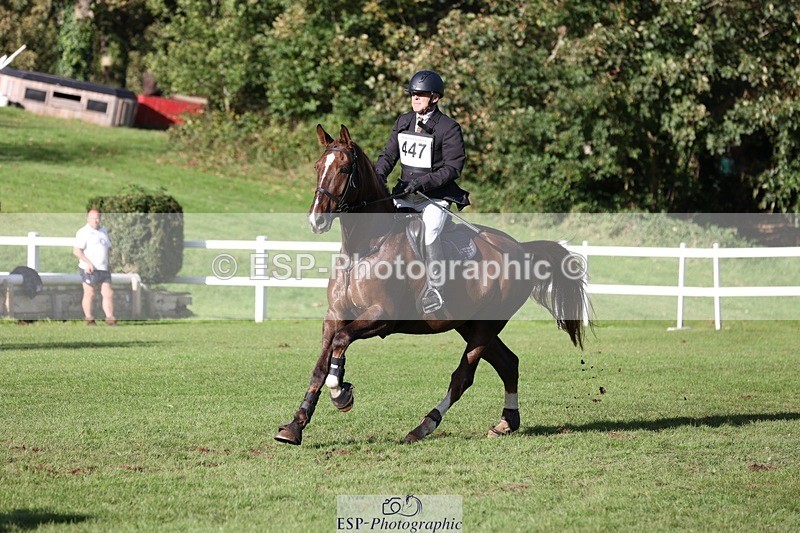 231022-145752-29542 - 447-STALLONE-Andrew.Winterton-TrotUp+SJ