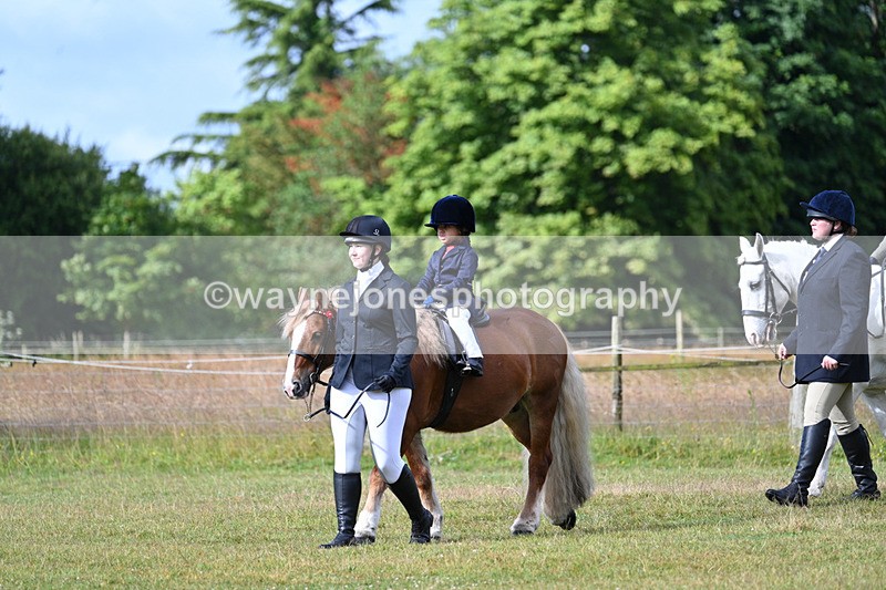 WJ7_4260 - Class 1 Lead Rein Pony