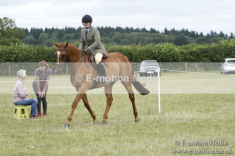 BVR160717-1789 - Ring 3 BVRC Show 16/07/17