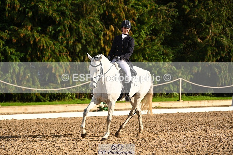 231021-155727-20974 - 262-GOOD.BOY.ALEX-Tara.Jefferies-DR