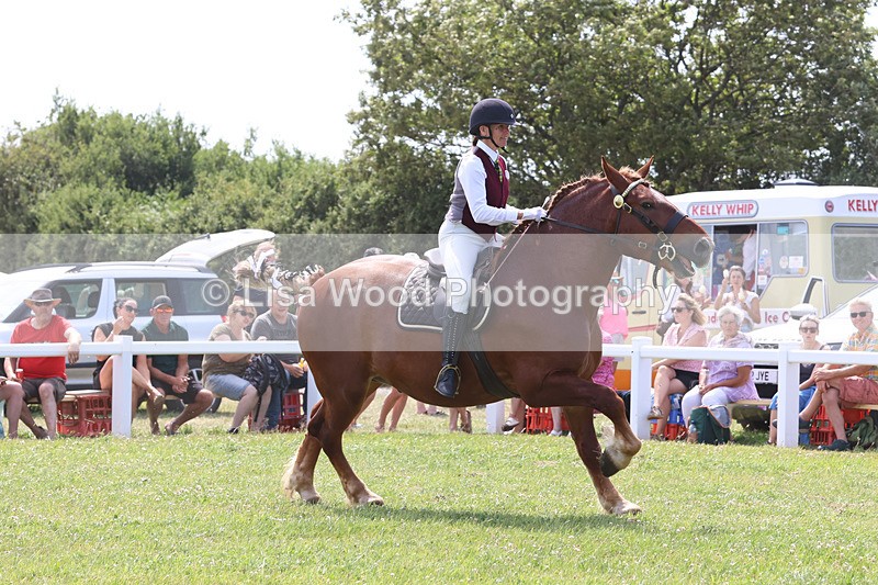 JPP_3502 - Class 15: Heavy Horse Ridden